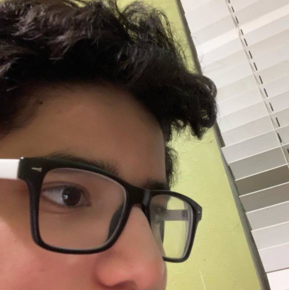 Meet your Posher, Toby - Picture 1 of 1